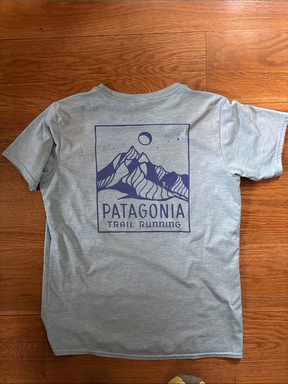 Patagonia capilene cool daily t shirt